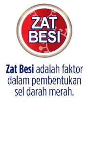 Zat Besi