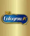 Hari Susu Enfagrow A+
