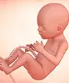 Perkembangan bayi dalam kandungan anda pada minggu ke-19