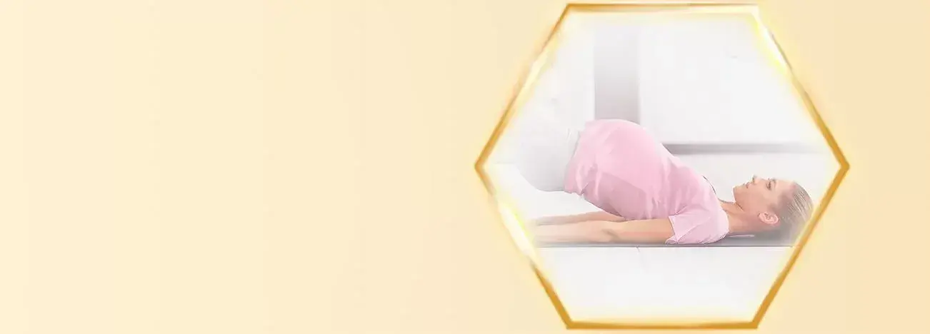 Pregnancy Development Month 1 - 3 Pregnancy Development Month 1 - 3