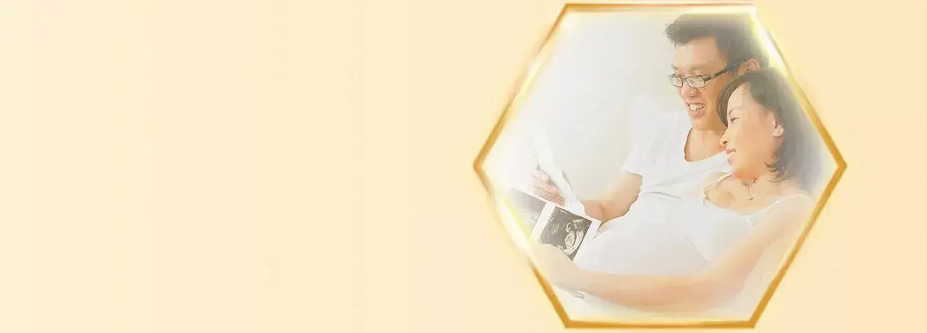 Pregnancy Development Month 7-9 Pregnancy Development Month 7-9