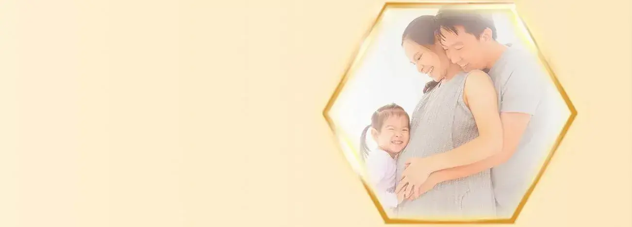 Pregnancy Development Week 27 - 40 Pregnancy Development Week 27 - 40