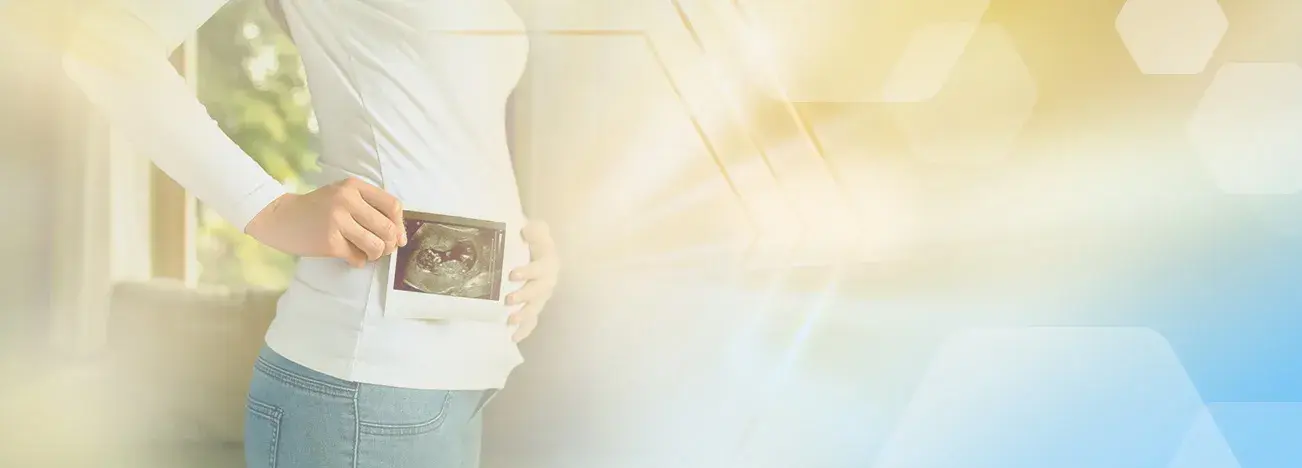 Pregnancy Development Week 1 - 13
