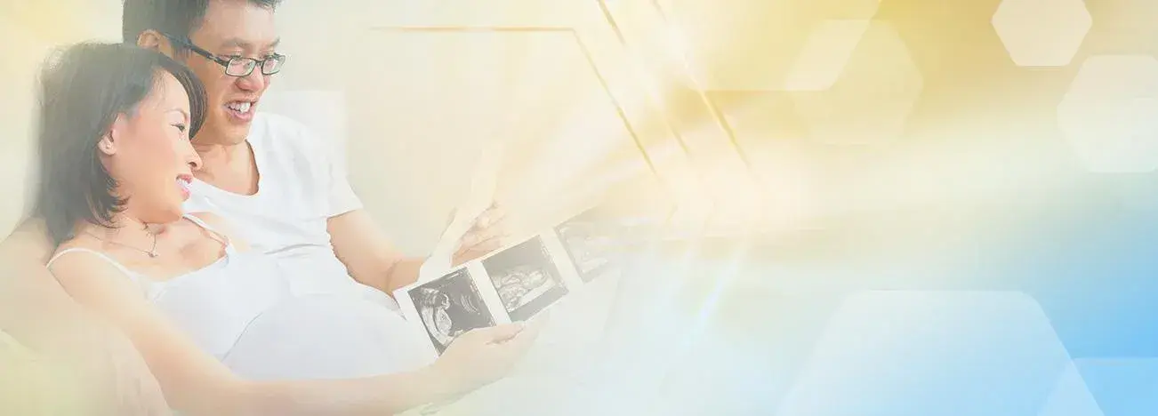 Pregnancy Development Month 7 - 9