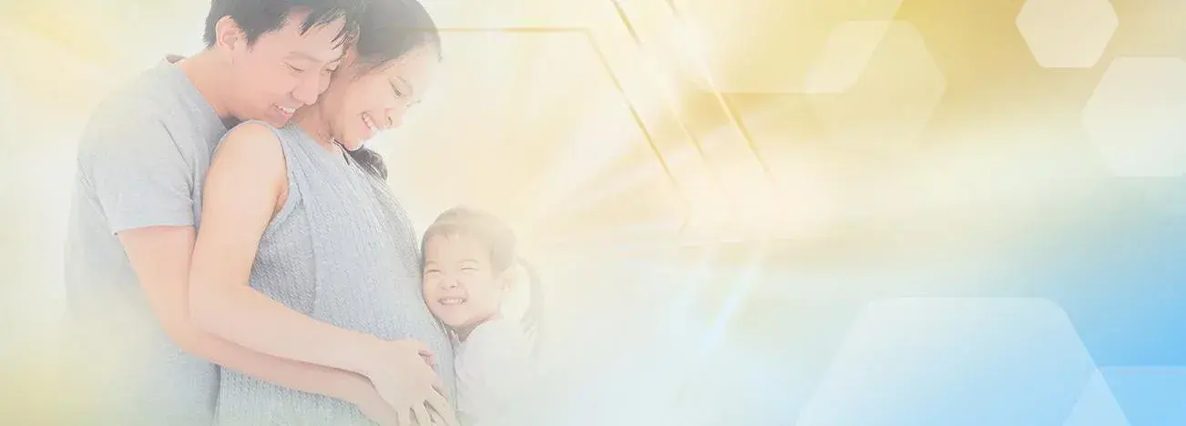 Pregnancy Development Week 27 - 40