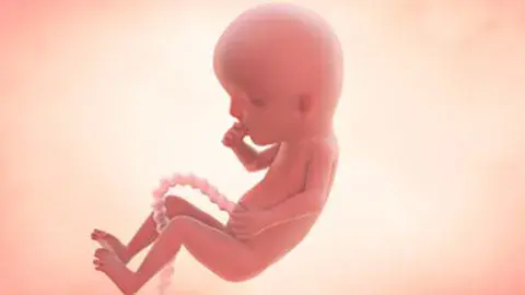 Your growing baby’s development in week 13