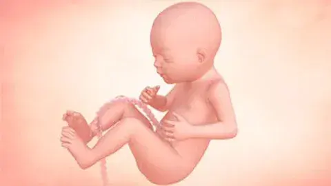 Perkembangan bayi anda pada minggu ke-26