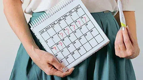 Pregnancy calculator: Pregnancy journey calculation 